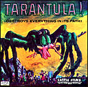 Tarantula1.jpg (16835 bytes)