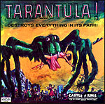 Tarantula2.jpg (20909 bytes)